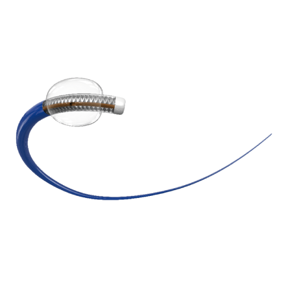 Globefish® Balloon Guided Catheter